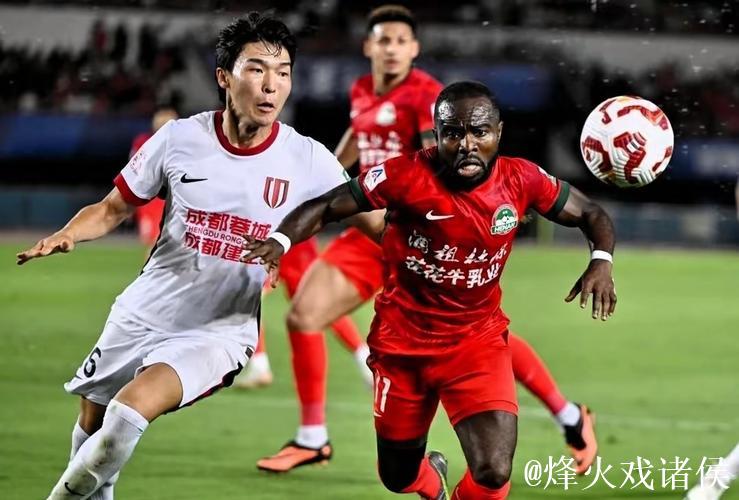 鹰眼挑战未果，河南队憾失关键局，江苏队以24:15胜出