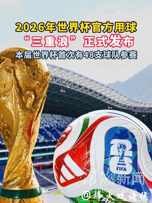 2026世界杯买球的成功案例与失败经验 2026世界杯买球的成功案例与失败经验